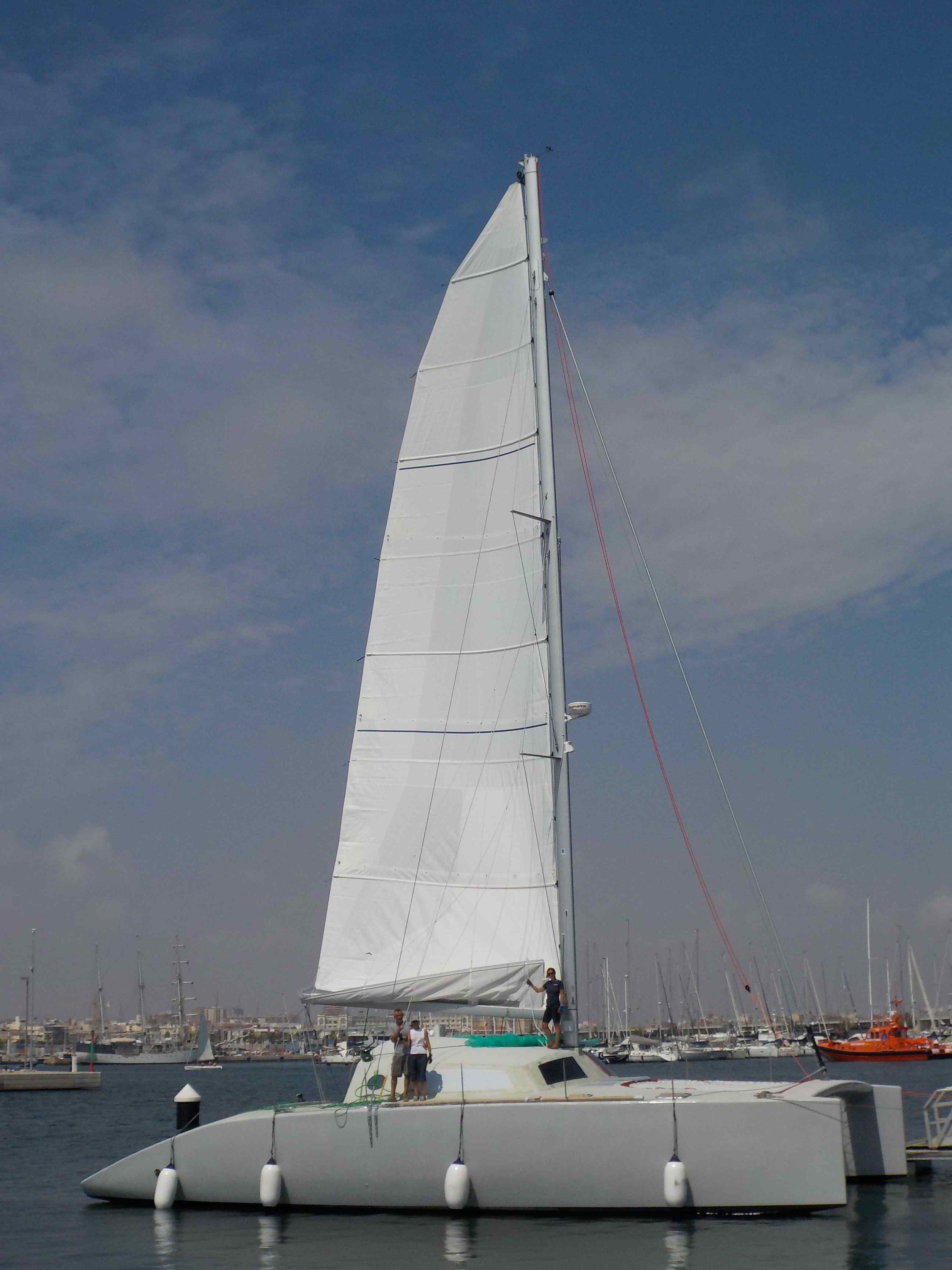 Mayor warp Drive Flash Cat 52 Mayor warp Drive Flash Cat 52